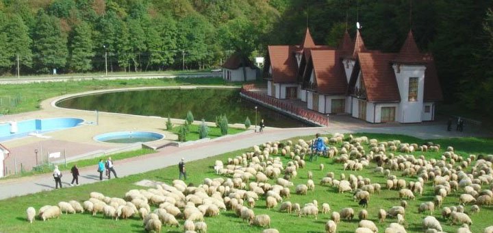 Лікування у санаторії «Вісак» у Шияні. Замовити недорого