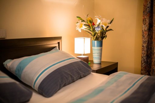 Comfortable apartments in lviv at a discount