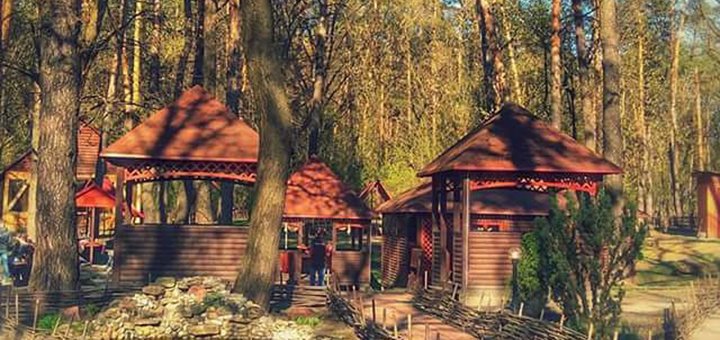 Fishing, cooking caught fish, sauna and restaurant in &quot;mangal park&quot; 1