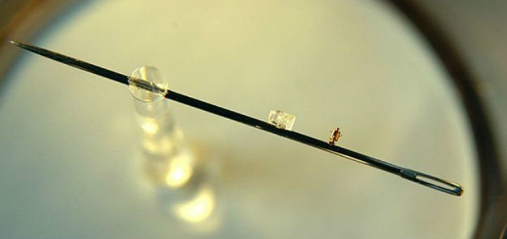 Museum of microminiatures in Kiev. Visit the exhibition at a discount.
