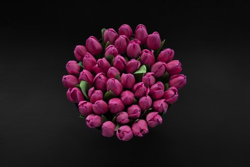 Bouquet of tulips in a box «The Wild Rose». Order with a discount.