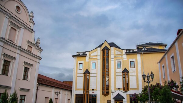 «вінницький обласний краєзнавчий музей»