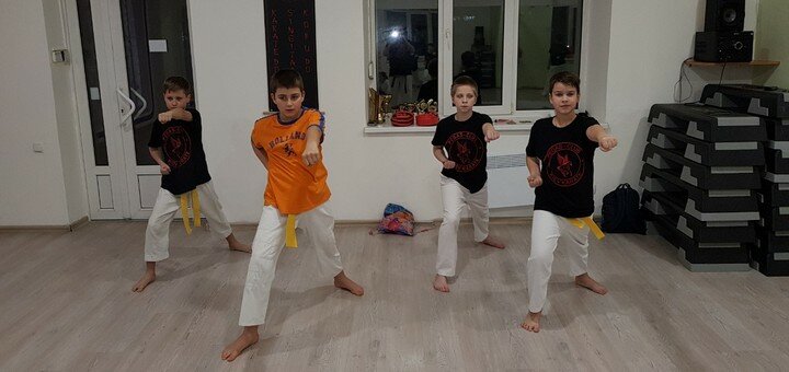 Karate section in the «Pegas-club KIEV Karate» club in kiev. sign up for a discount.