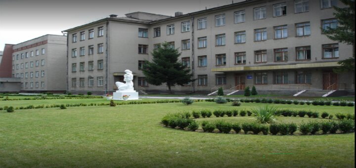 Maternity hospital lutsk