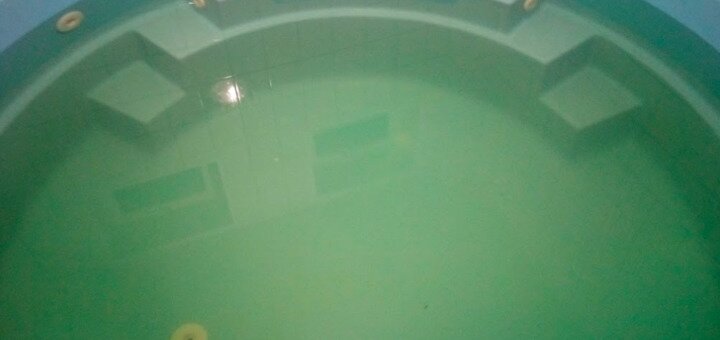 Sauna on sadovaya 35 pool