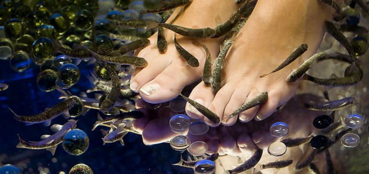 SPA фіш для ніг в салоні краси Балі в Одесі. Записуйтеся на педикюр рибками гара руфа по знижці.