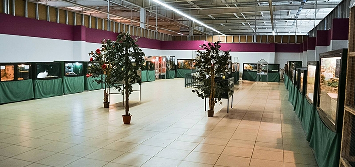Контактний зоопарк Світ джунглів в Запоріжжі. Зі знижкою.