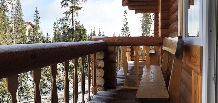 Alpine Eco Chalet & Wellness on Dragobrat. Book with promotion 10