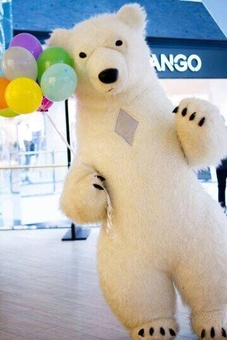 New year&#39;s greetings from polarno bear