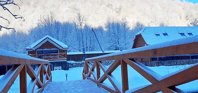 Hotel Darino in Transcarpathia. Visit with promotion 7