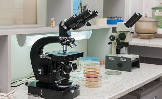 Medical laboratory Accurate diagnosis dnepr 5 discount