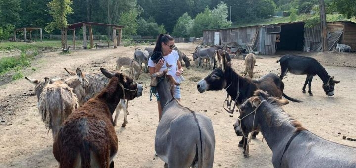 Osloff donkey farm near Kyiv, promotions