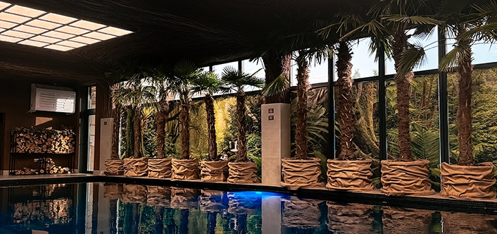 Starbath City SPA посещайте по акции 5