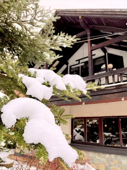 Svyat Park Hotel. Book with special offer 26