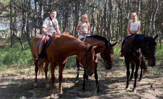 Demos Equestrian Club. Visit with a 10% discount.