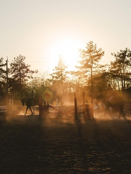 Demos Equestrian Club. Visit with a special offer of 14