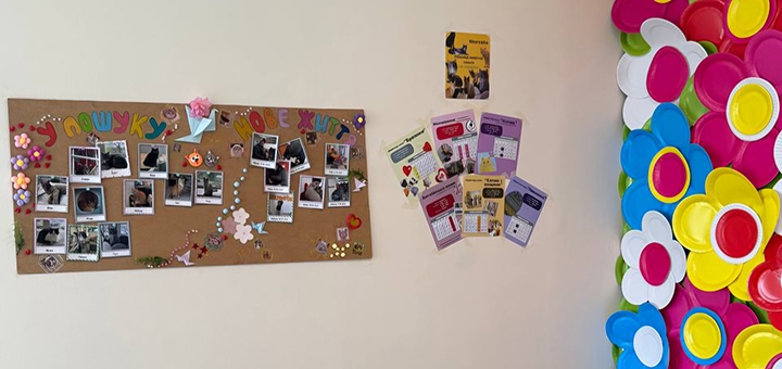 Murcota Cat Cafe. Visit with a special offer of 1.