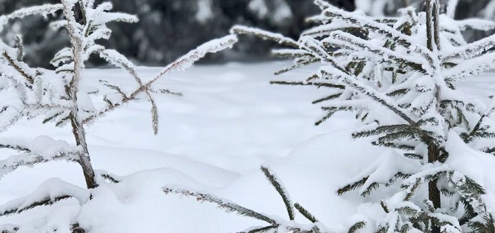 Nature of Krivorivnya / Buli Tour
