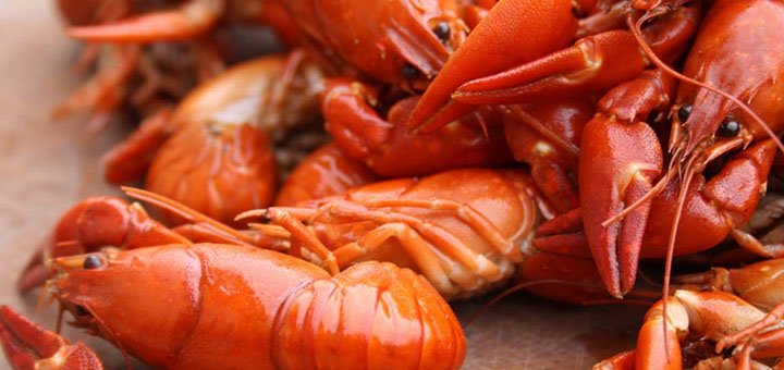 Delivery of crayfish «Crayfish» across Kiev and Kiev region. Buy crayfish at a discount.