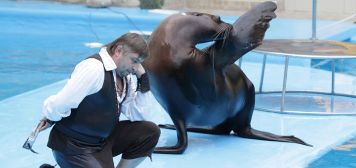 Discounts at the nemo dolphinarium