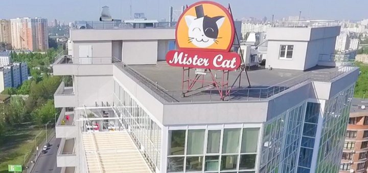 Пентхаус "Mister Cat" на ВДНГ