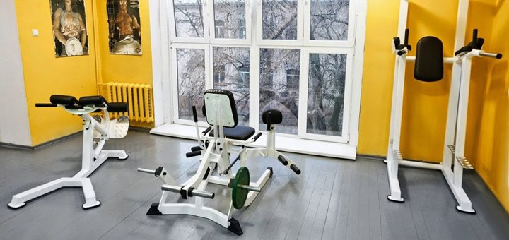 Gym, protein, steroids at the gym metal