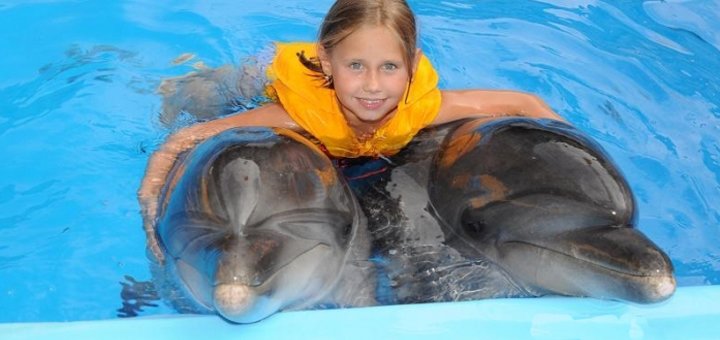 swimming with dolphins at the Nemo Dolphinarium. Buy at a discount.