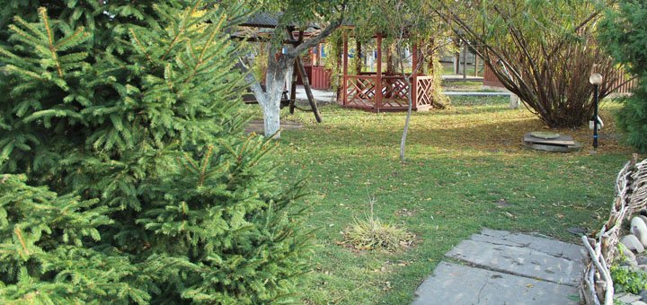 Отель «Ligena Hotel»  в Киеве, Борисполь