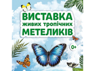 Выставка живых тропических бабочек