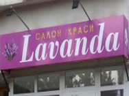 Lavanda