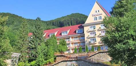 Bf6c69b-120180914-18266-1hrpl5w